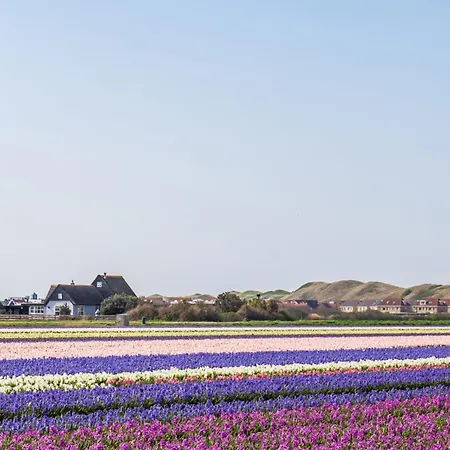 De Meerpaal - Aan Zee *