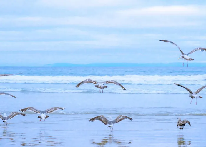 De Meerpaal - Aan Zee * 줄리아나도르프